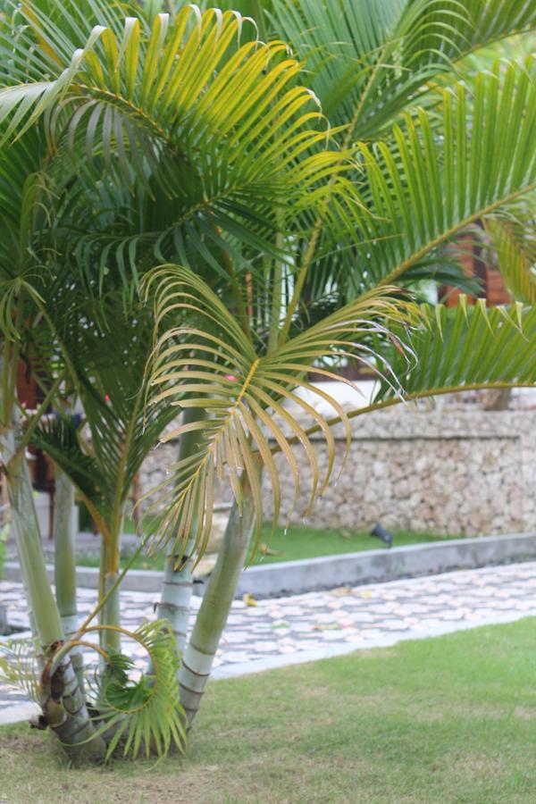 Gepah Garden Cottage Nusa Penida Εξωτερικό φωτογραφία